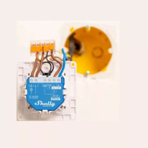 Shelly Qubino Wave 1 smart relay with 1-gang, with Z-Wave protocol