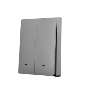 SmartWise wall switch front panel, dim grey, 2-button